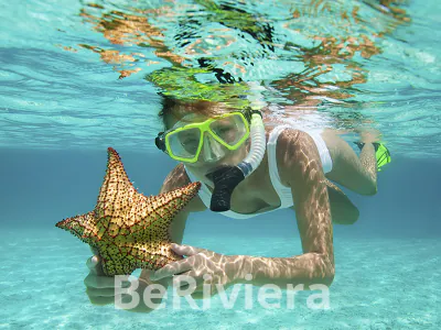 Paseo en bote y Snorkel en Isla Contoy